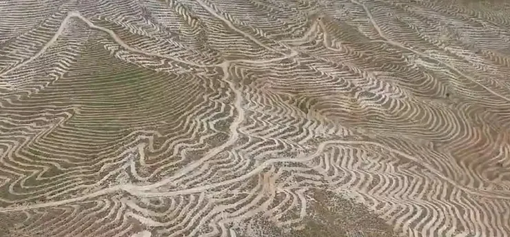 Malatya'da Yeşil Vatan Hamlesi! Doğanşehir Dağlarında Dönüşüm