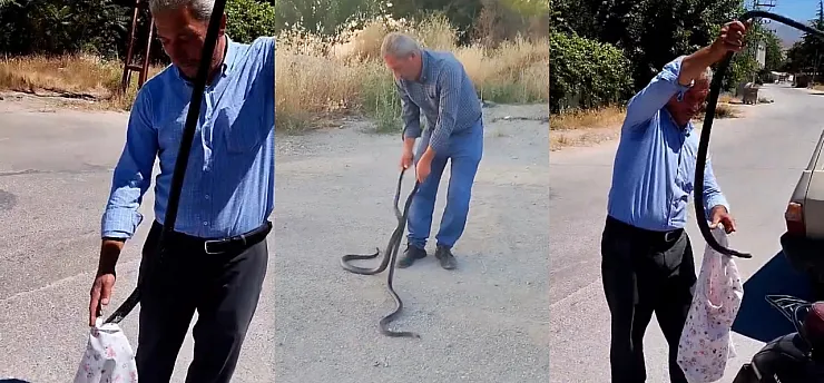 Malatya'da 'Yılan Savar Muhtar' Bu Kez İki Dev Kara Yılanını Yakaladı!