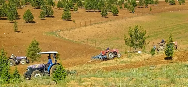 Malatya Doğanşehir'de Mezarlıkta İmece Çalışması!