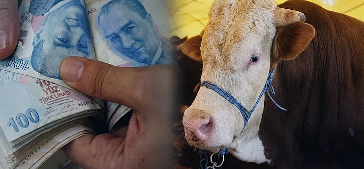 Malatya Hayvan Pazarında Uyarı! Sahte Ödeme ve Hasta Hayvan Riskine Dikkat