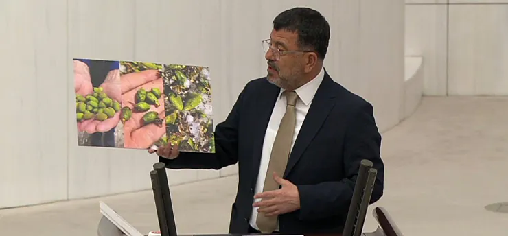 Malatya Kayısısında Dolu Felaketi! Veli Ağbaba Meclis'te Fotoğraflarla İsyan Etti