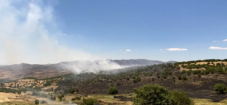 Malatya'nın Farklı İlçelerinde Yangınlar Peş Peşe Çıktı!