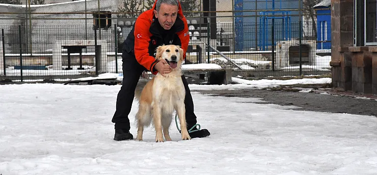 Malatya Unutmadı! Sessiz Kahraman Köpük Göreve Hazır!