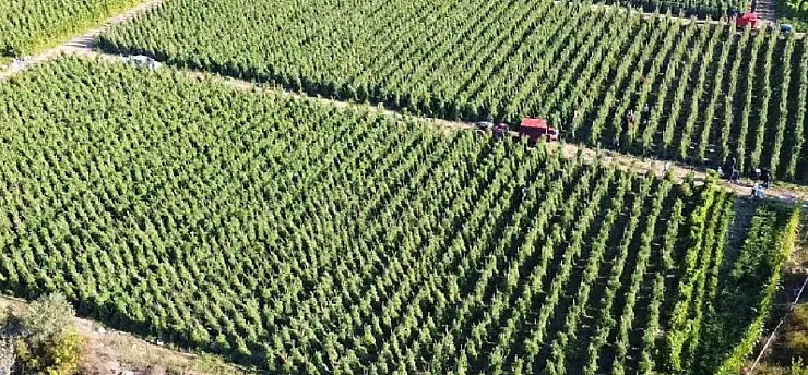 Malatyalılar Dikkat! 12,8 Milyar TL'lik Destek Ödemesi Başladı