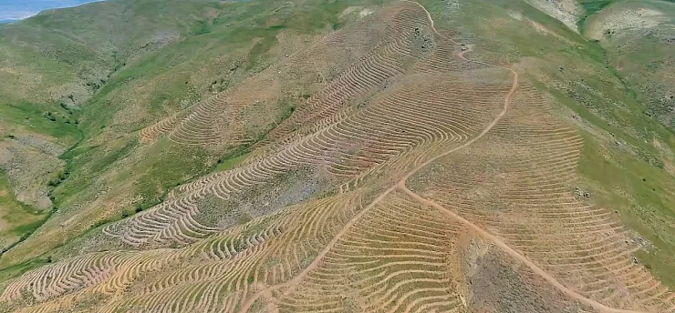 Pütürge'de Geleceğe Nefes! Dev Ağaçlandırma Çalışması Sürüyor