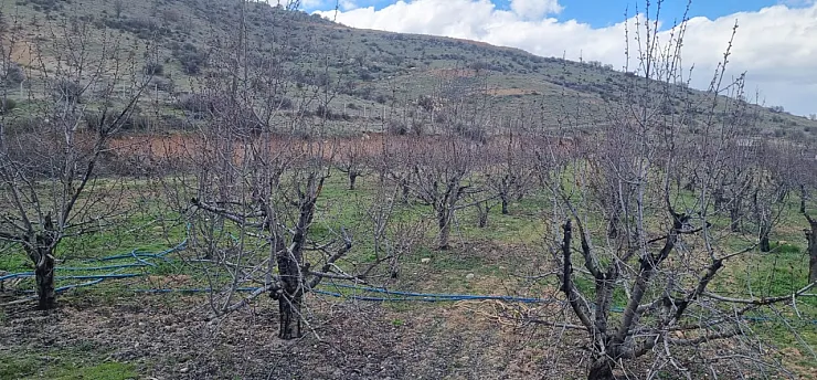 Tarım Arazileri İmara Açıldı! Mollakasım Mahallesi Ayağa Kalktı!