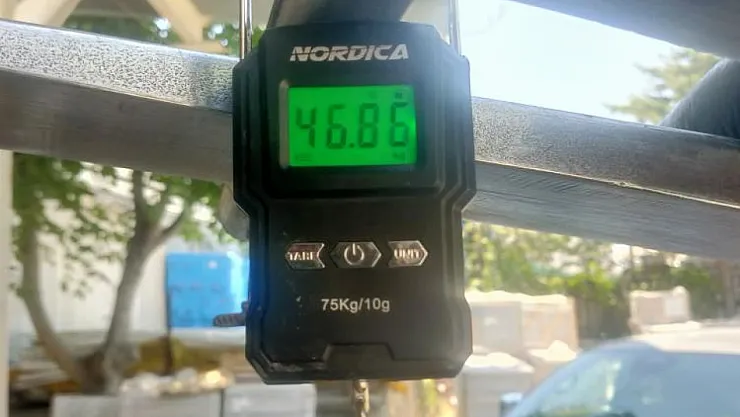 1 buçuk metrelik balık oltaya takıldı