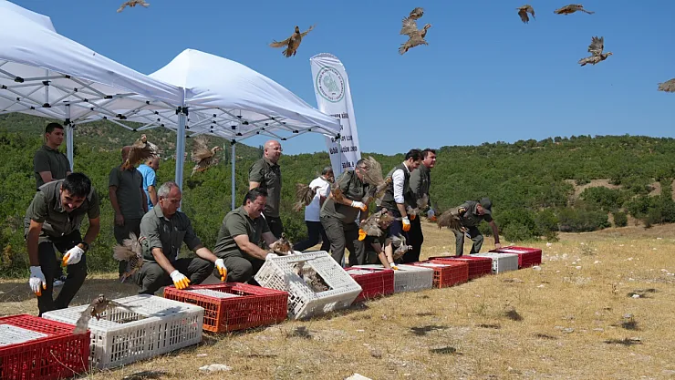 1 milyona yakın keklik doğayla buluştu