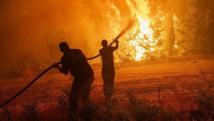1 Ocak-17 Ağustos arasında kaç yangın meydana geldi?