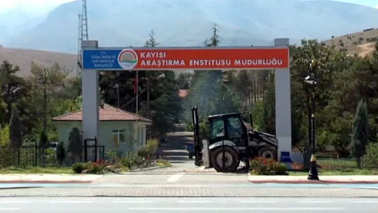 İstasyon taşınınca bahçeler ne olacak?