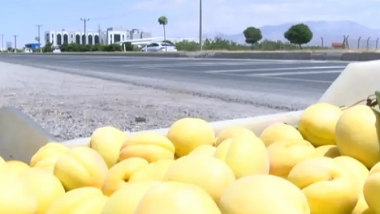 Çiftçiler güneşin alnında müşterilerini bekliyorlar!