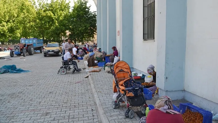 Malatya'da 'patik yapma' dönemi devam ediyor!