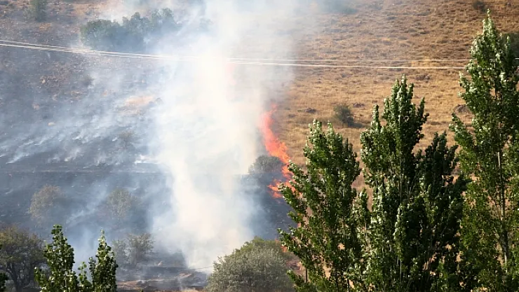 Hekimhan'da 50 hektarlık alanda yangın!