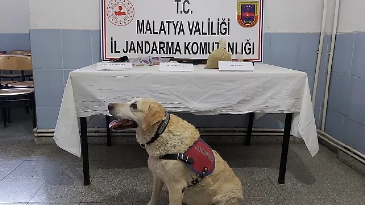 Malatya'da uyuşturucu operasyonu: 1 kişi tutuklandı!