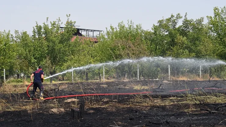 Yangın 10 hektar alanı küle çevirdi!