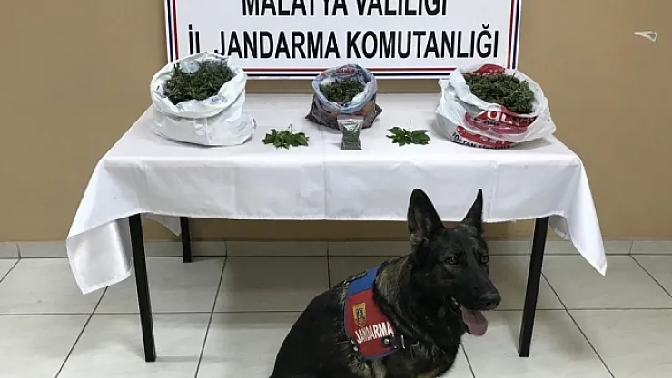 Malatya'da Uyuşturucu tacirlerine operasyon!