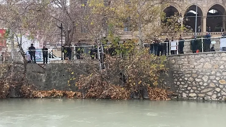 Akarsuya düşen yavru köpek için seferber oldular!