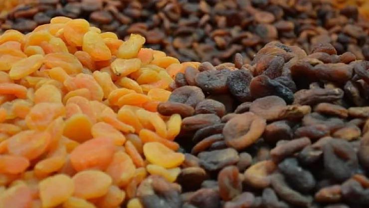 Bu haber, kayısı üreticisinin yüzünü güldürdü