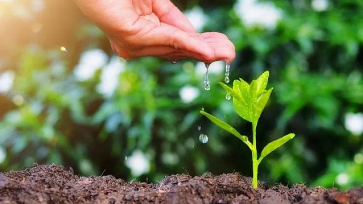 Fidan kampanyasına destek!