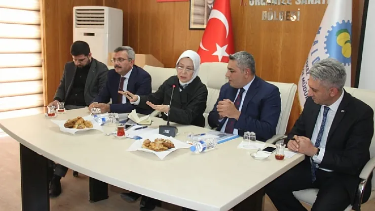 &quotMalatya'da sanayiyi ayağa kaldıralım istiyorum&quot