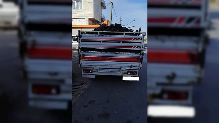 Odun hırsızları gözaltına alındı