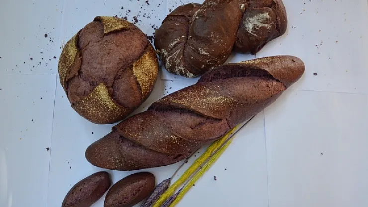 Malatya'da mor ekmeğe ilgi artıyor...