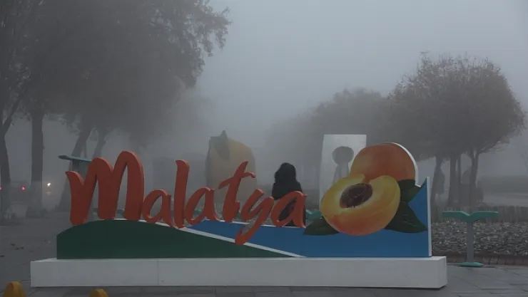 Yoğun sis Malatya'yı etkisi altına aldı