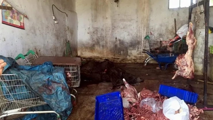 &quotYeter artık sağlığımızla oynamayın!"