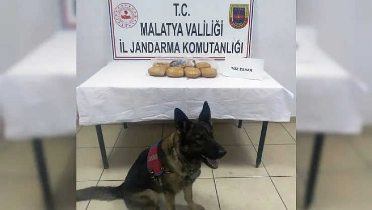 Yolcu otobüsündeki esrarı 'Kitap' buldu