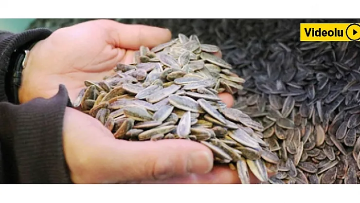 Çekirdeğe Koronavirüs darbesi!