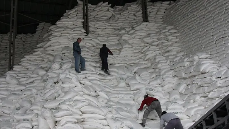 Deprem nedeniyle pancar ödemeleri 40 gün erken başladı!