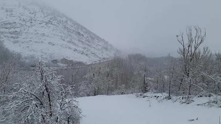 Arapgir beyaz örtüyle kaplandı...