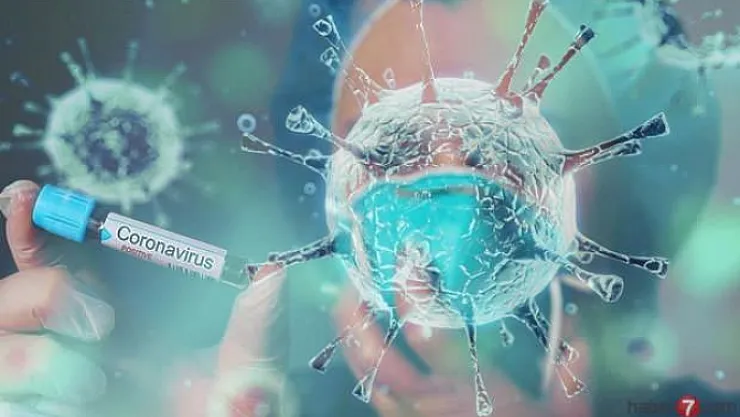 Bakan açıkladı: Türkiye'de 2. Corona virüs vakası!..