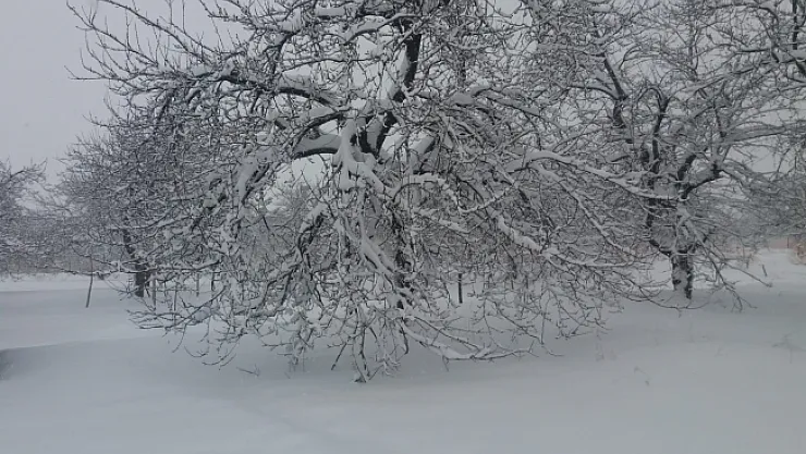 Malatya beyaza büründü...