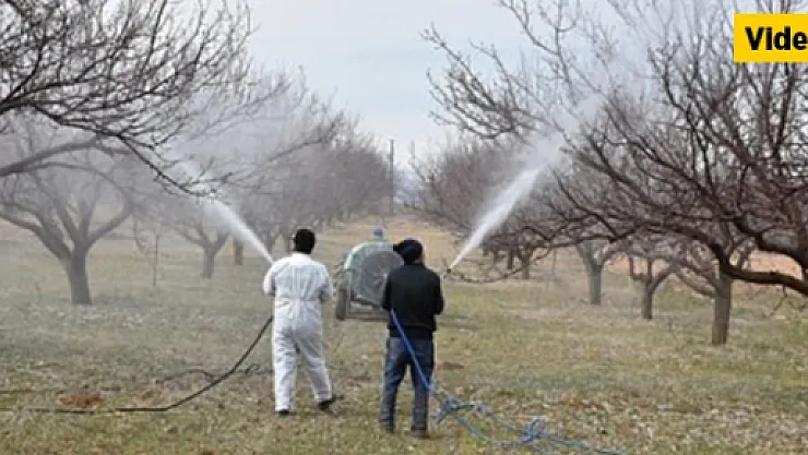 Malatya'da çiftçilerin zorlu mesaisi başlıyor!