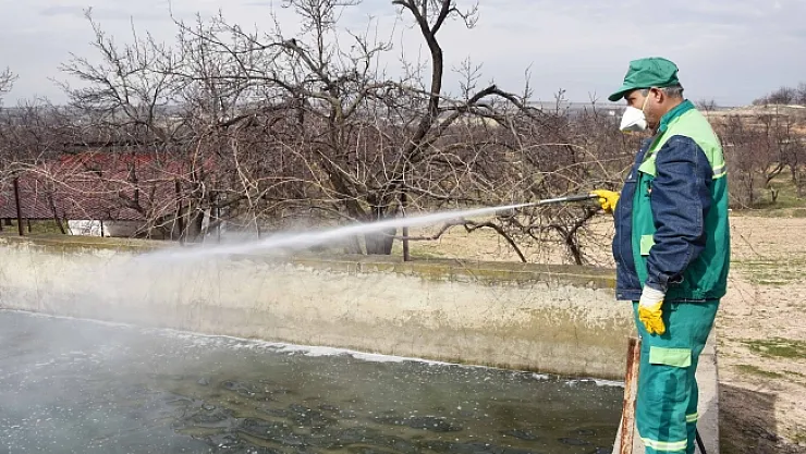 Malatya'da havaların ısınması ile birlikte haşerelerle mücadele başladı