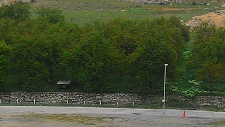 Darende ilçesinde zirai don ve monilya hastalığı