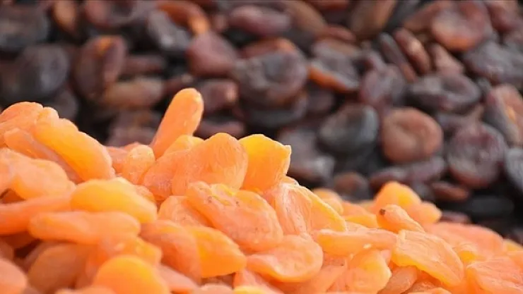 Malatya'nın kuru kayısı ihracatı yüzleri güldürüyor!