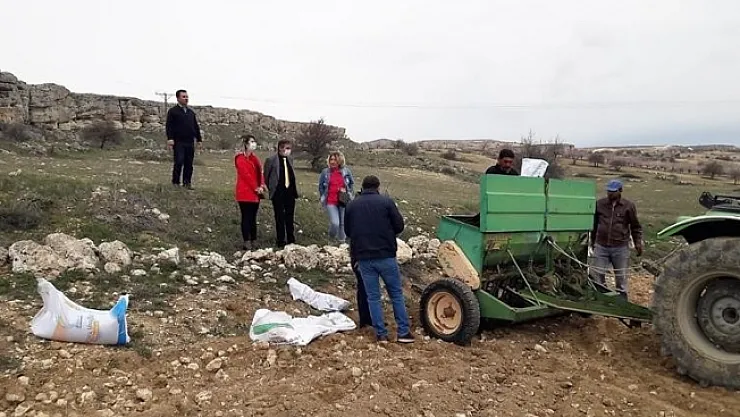Yazıhan'a yerli kırmızı mercimek ekimi yapıldı