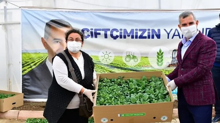 Yeşilyurt'ta 100 bin sebze fidesi dağıtımına başlandı