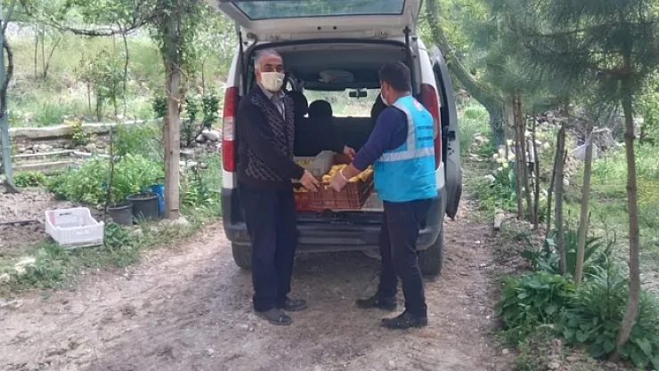 Bahçesinde yetiştirdiği elmaları kampanyaya bağışladı