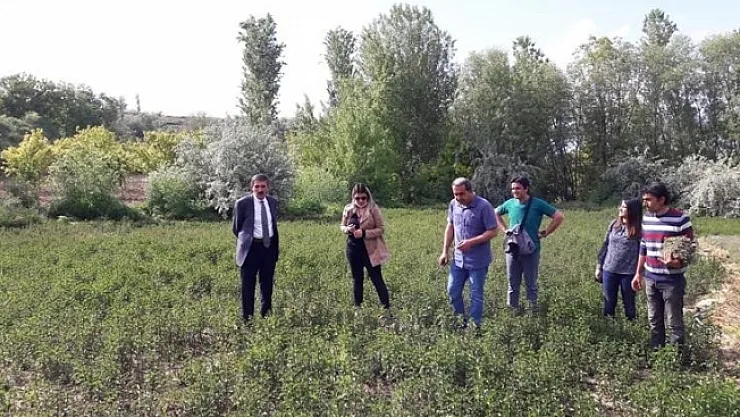 Çiftçilere müjde! Başvurular 1 Haziran'da başlıyor!