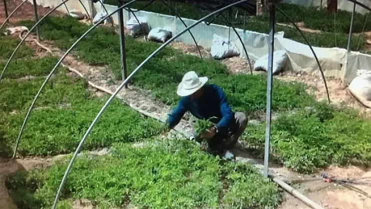Darendeli çiftçinin 10 parmağında 10 marifet!