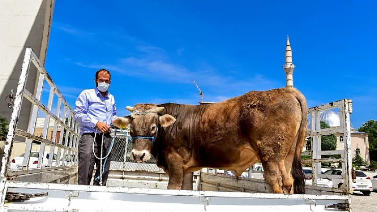 Milli dayanışma ruhunun en güzel örneği Malatya'dan!