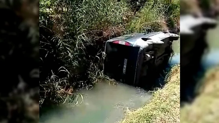 Aracına giren arı yüzünden dereye yuvarlandı!