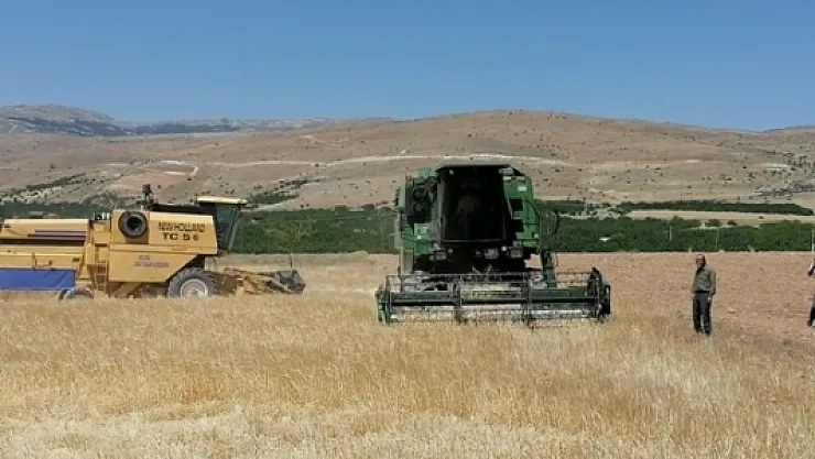Malatya'da hububat hasadı başladı