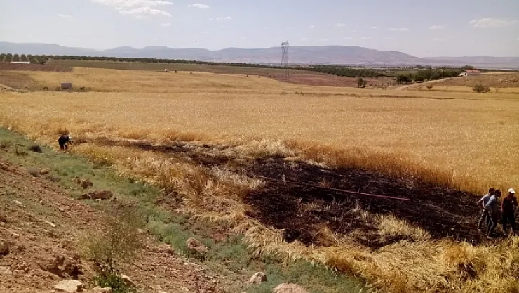 Malatya'daki buğday tarlasında yangın çıktı!