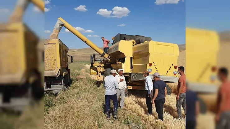 Malatya'nın tahıl ambarında hububat hasadı başladı!