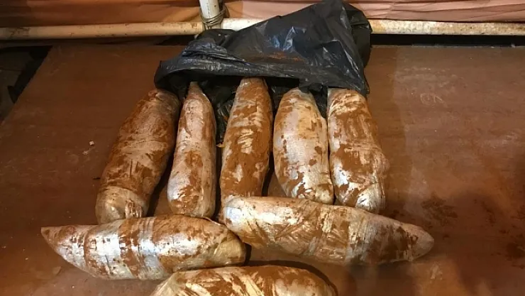 Otobüste kilolarca esrar maddesi ele geçirildi!