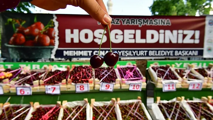 Yeşilyurt'ta en iyi kiraz ve bahçesi ödülleri sahiplerini buldu